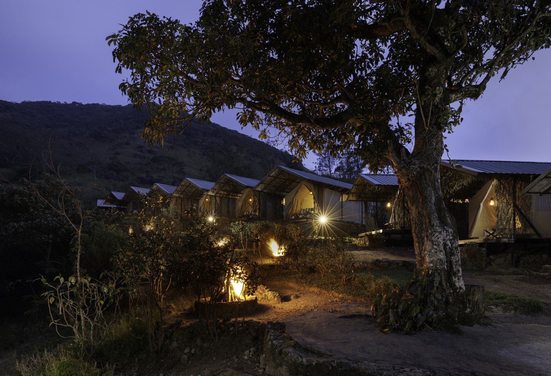 Wild Glamping Knuckles